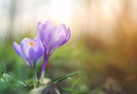 Spring Time AC Tune Up