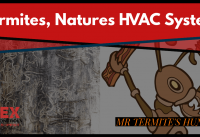 Air Conditioning and Termites