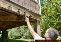 How Often Should You Treat For Pests?