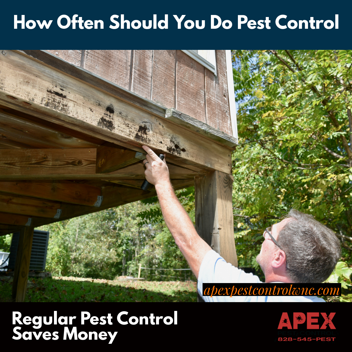 How Often Should You Treat For Pests?