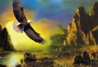Contentious Spirits, Mediumship & Mental Illness