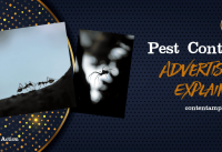 Pest Control Advertising Explained