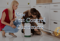 How To Get New Pest Control Customers?