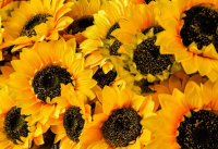 Three Healing Steps to Greater Abundance