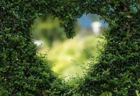 Healing the Energy of Our Homes