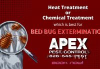 Bothered by Bed Bugs? Know the Best Treatment that Really Works