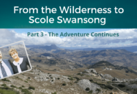 From The Wilderness to Scole Swansong - Part 3