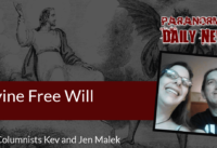 Free Will From The Divine
