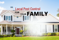Local Pest Control cover