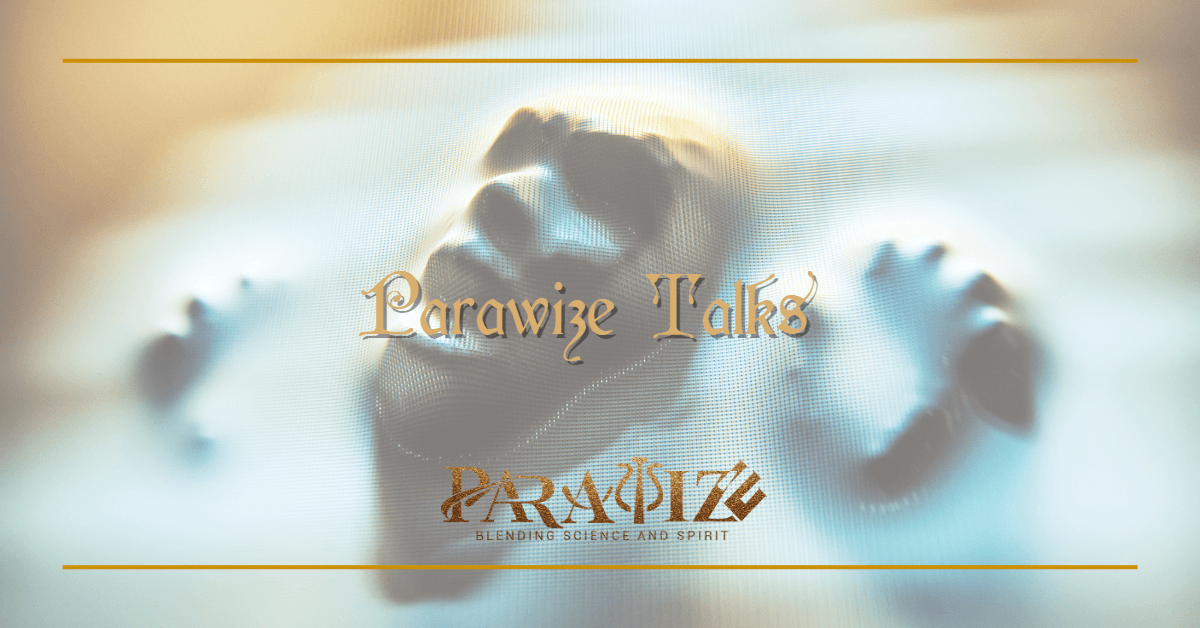 Parawize Talks - Embark on Your Journey to the Truth cover
