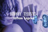 Kidney Thieves: The Urban Legend cover