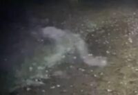 Spirit or Spoof? Demon Caught On Camera at Clumber Park cover