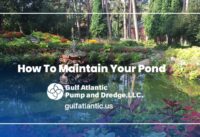 How To Maintain Your Pond cover