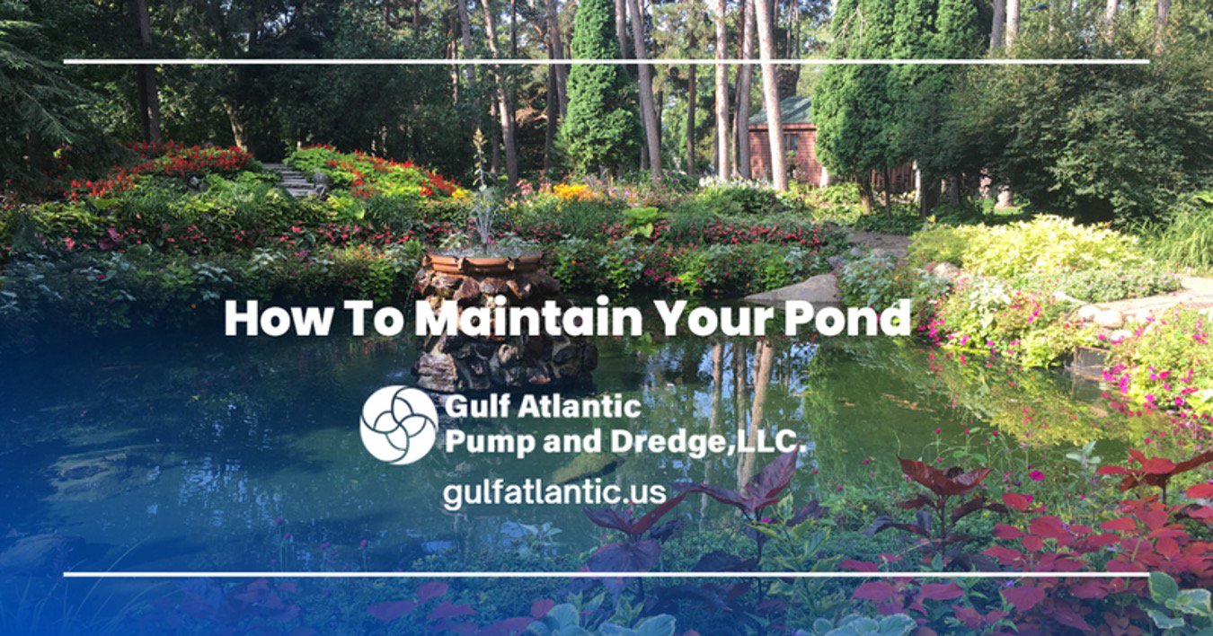 How To Maintain Your Pond cover