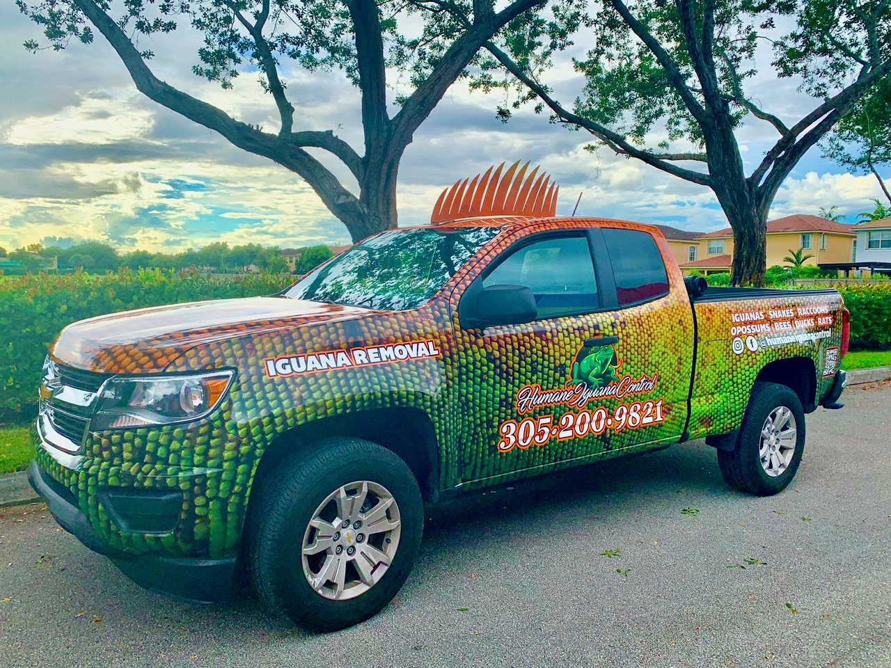 Eco-Warrior Empowers Environmental Sustainability, Takes on Iguana Control Challenge cover