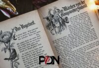 Could Fairy Tales Be Based on True Stories? cover