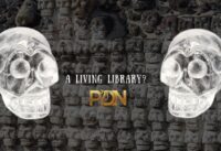 The Legendary Crystal Skulls cover