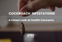 Cockroach Infestations: A Closer Look at Health Concerns cover