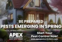 Be Prepared: Pests Emerging in Spring cover