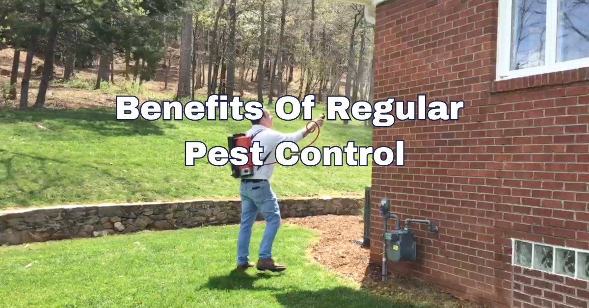 Top 5 Benefits Of Regular Pest Control cover