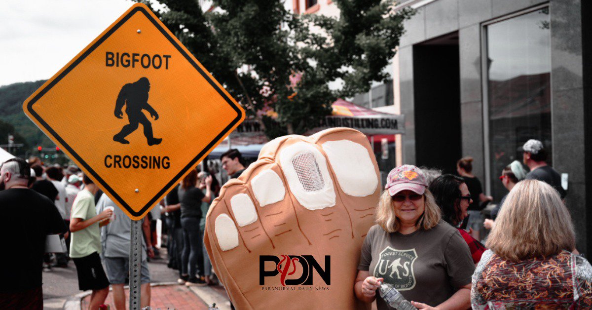 The Bigfoot Festival: A Gathering of Believers and Researchers in Marion, North Carolina cover