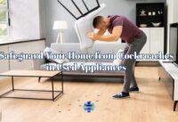 Safeguard Your Home from Cockroaches in Appliances cover