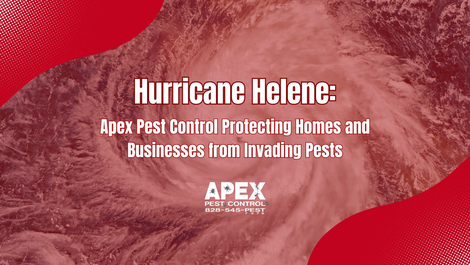 Dealing with Pest Problems After Storms cover