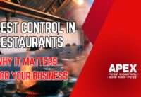 pest control in restaurants