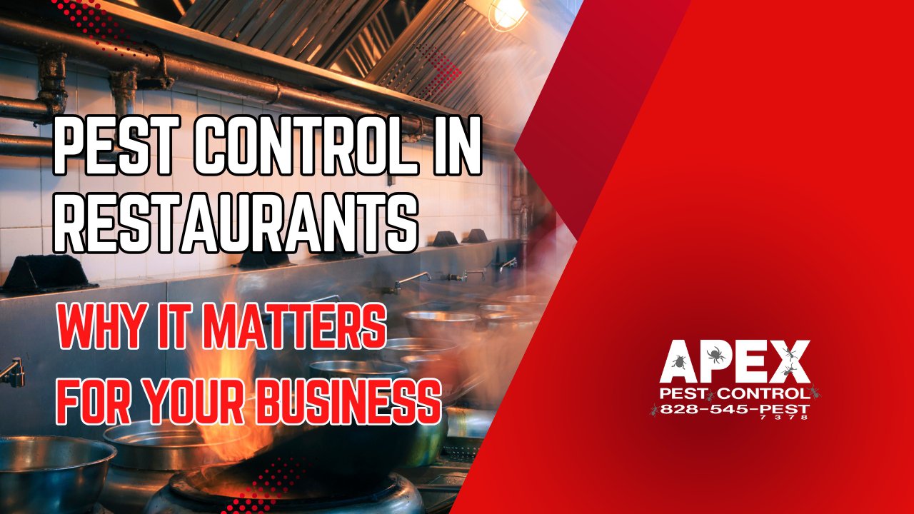 pest control in restaurants