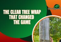 Using Clear Tree Wrap That Helps Protect From Iguanas cover