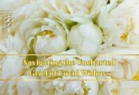 Navigating the Uncharted Grief of Covid Widows cover