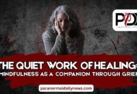 The Quiet Work of Healing: Mindfulness as a Companion Through Grief cover
