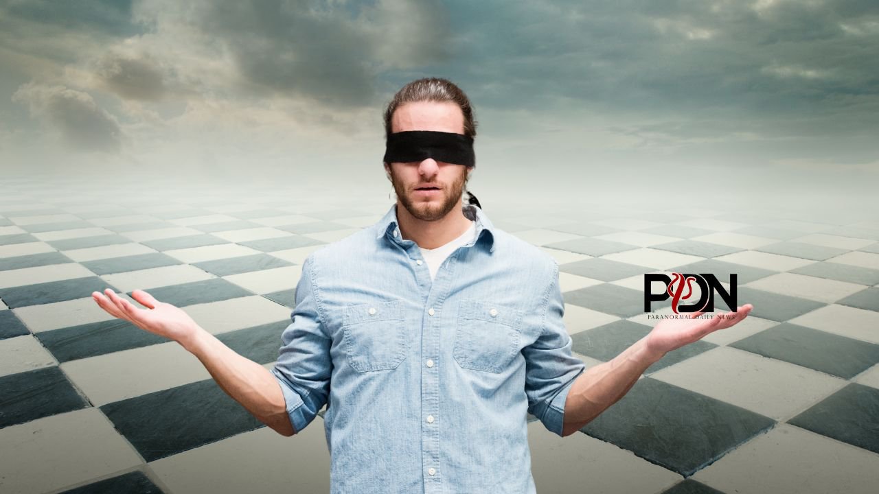 Freemasonry - Cult, Occult or Ponzi Scheme? cover