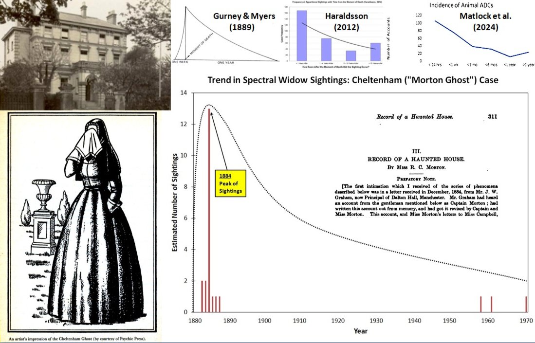 How Long Might a Ghost Haunt a House? cover